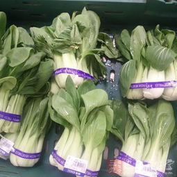 威海食藥監(jiān)局解讀食用農(nóng)產(chǎn)品入場交易法規(guī)制度