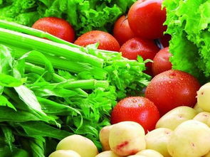 群英薈萃農(nóng)產(chǎn)品 農(nóng)民怎樣才能把自己的農(nóng)產(chǎn)品銷售到全國各地呢