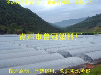 蔬菜大棚膜廠家||大棚膜供應商//大棚塑料薄膜廠家圖片|蔬菜大棚膜廠家||大棚膜供應商//大棚塑料薄膜廠家產(chǎn)品圖片由青州市魯冠塑料廠公司生產(chǎn)提供-