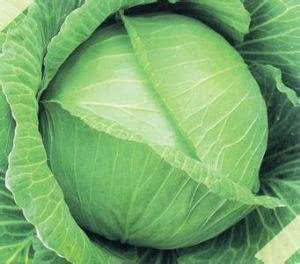 這菜是天然 血管清道夫 ,幾毛錢一大碗,每天吃點(diǎn),人更年輕態(tài)