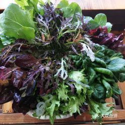 蘇尼特精品涮的有機(jī)蔬菜好不好吃 用戶評(píng)價(jià)口味怎么樣 呼和浩特美食有機(jī)蔬菜實(shí)拍圖片 大眾點(diǎn)評(píng)