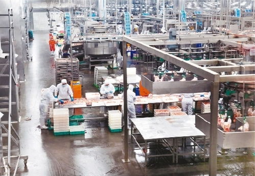 智慧工廠助力轉型升級