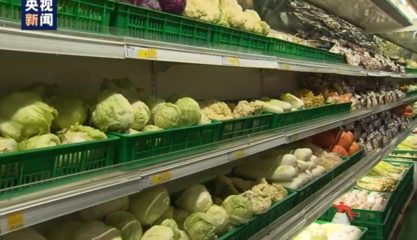 追夢赤子心丨年交易額達100億元 帶動3萬多人就業…留學回國的他這樣穩住百姓“菜籃子”