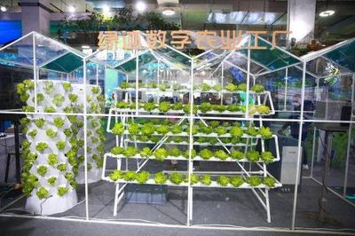 新主體、新技術(shù)、新產(chǎn)品 從今年農(nóng)博會看&ldquo;浙&rdquo;有新能力