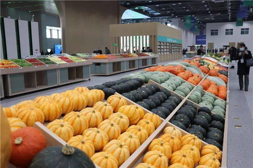 青島農(nóng)業(yè) 國際客廳 開門納客,2022年建成后預(yù)計可實現(xiàn)年產(chǎn)值約120億元