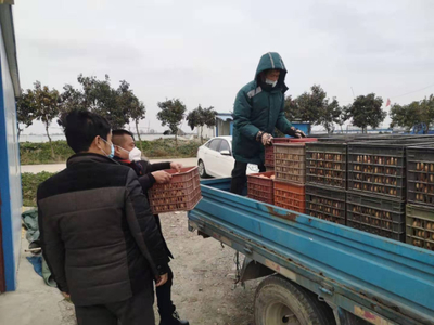 疫情前,農副產品“大聯銷”助農戶“產銷無憂”