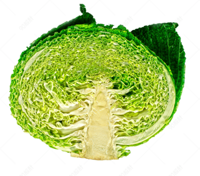 切開橫切面蔬菜植物包菜